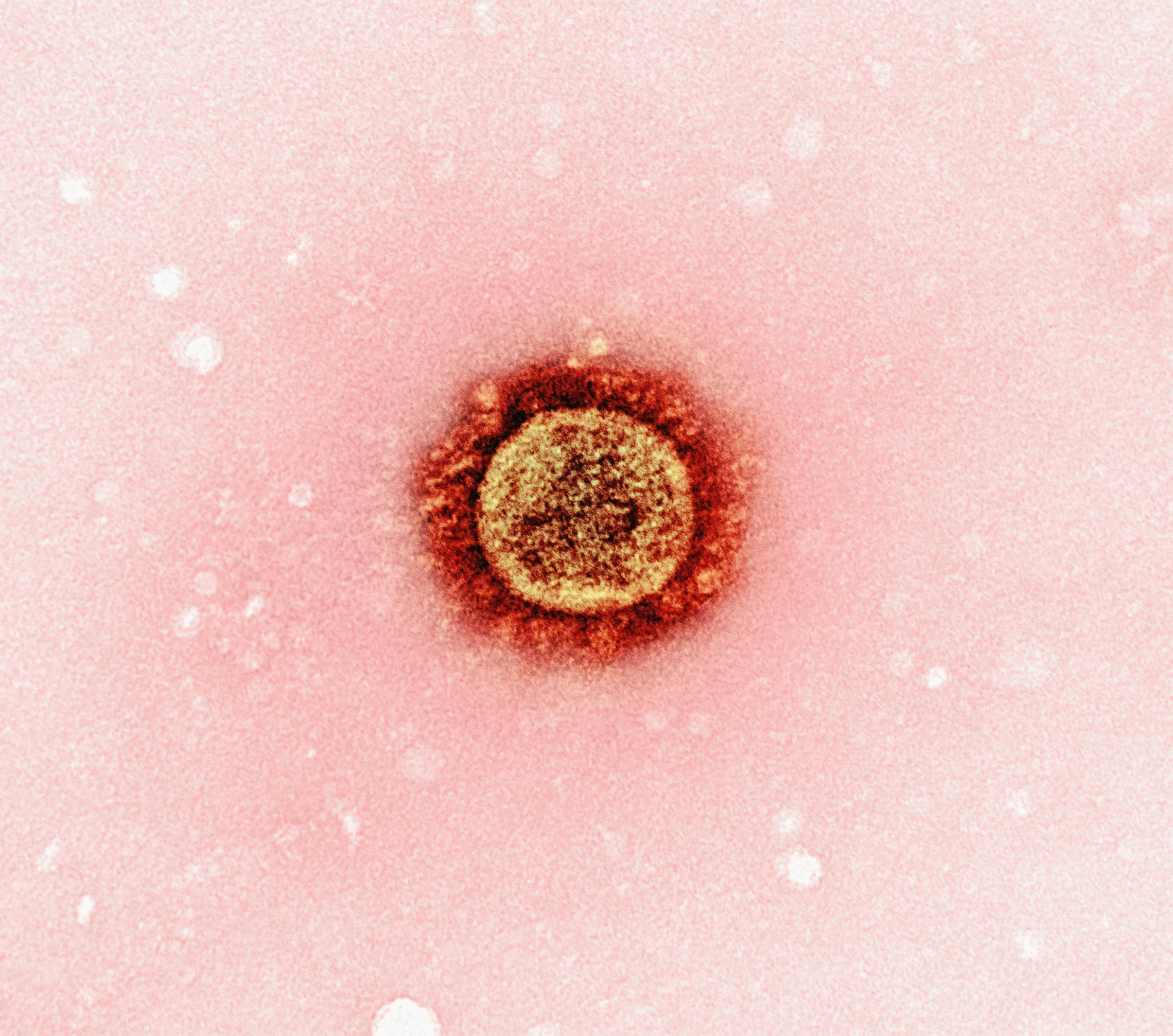 Vad är herpes?